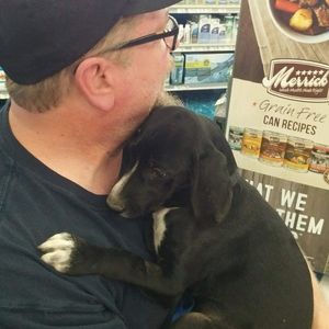 Meet your Posher, Donald